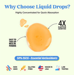 Green Tea 10:1 Extract 50% EGCG - Green Tea Liquid Drops - Vegan, 4X More Powerful Than Pills & Capsules - 2oz Antioxidant & Immune Supplement - Skin, Heart Support, Brain Health & Memory Boost
