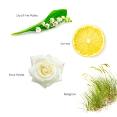 Gilchrist & Soames English Spa Essentials Kit - Luxury Hotel Toiletries and Personal Care, TSA Approved, For Travel and Gifting, Paraben Free, Sea Grass and Lily Fragrance