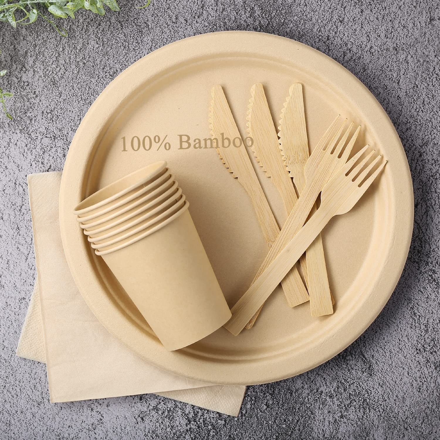 Lekoch 25 Guests Disposable 100% Bamboo Pulp 10inch Plates, Cutlery, Paper Napkins, Cups Party Set, Biodegradable Disposable Bamboo Pulp Dinnerware Set