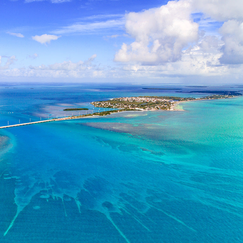 The Keys